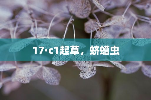 17·c1起草，蛴螬虫