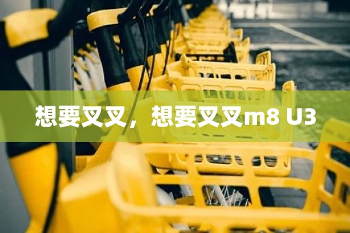 想要叉叉，想要叉叉m8 U3