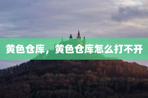 黄色仓库，黄色仓库怎么打不开