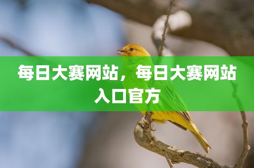 每日大赛网站，每日大赛网站入口官方