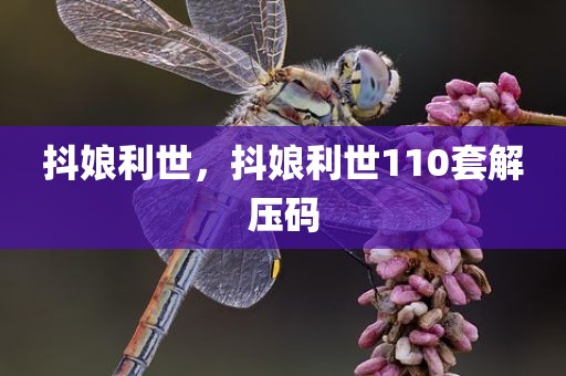 抖娘利世，抖娘利世110套解压码
