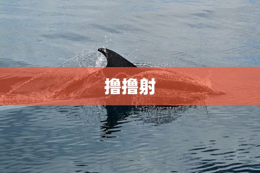 撸撸射