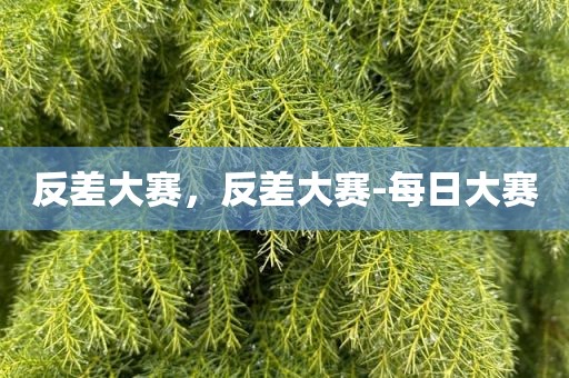 反差大赛，反差大赛-每日大赛