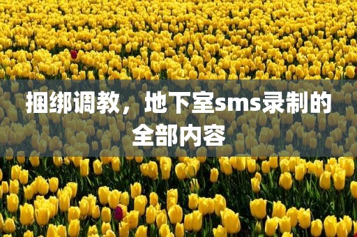 捆绑调教，地下室sms录制的全部内容
