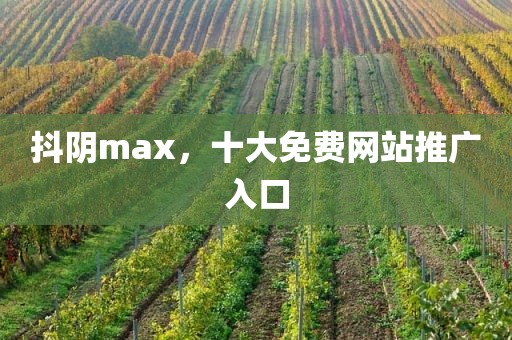 抖阴max，十大免费网站推广入口