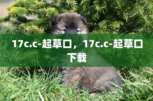 17c.c-起草口，17c.c-起草口下载
