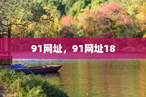 91网址，91网址18