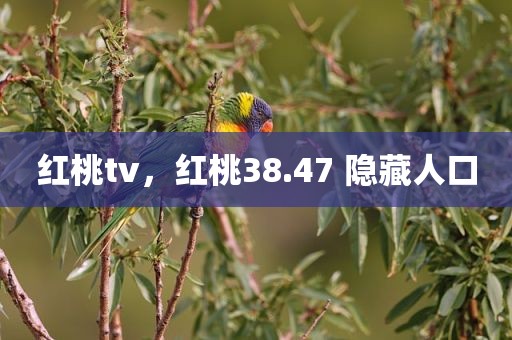 红桃tv，红桃38.47 隐藏人口