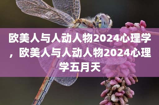 欧美人与人动人物2024心理学，欧美人与人动人物2024心理学五月天
