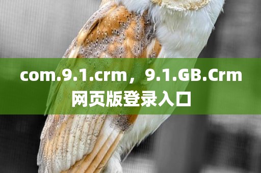 com.9.1.crm，9.1.GB.Crm网页版登录入口