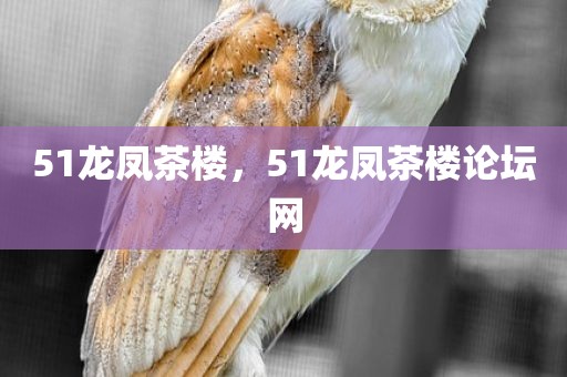 51龙凤茶楼，51龙凤茶楼论坛网