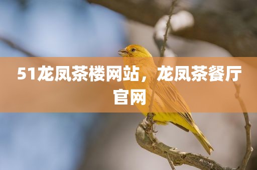 51龙凤茶楼网站，龙凤茶餐厅官网