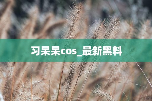 习呆呆cos_最新黑料