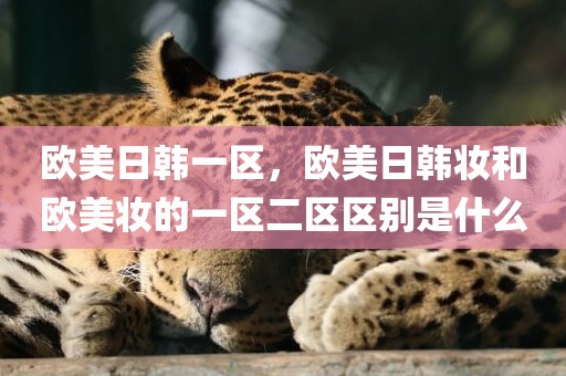 欧美日韩一区，欧美日韩妆和欧美妆的一区二区区别是什么