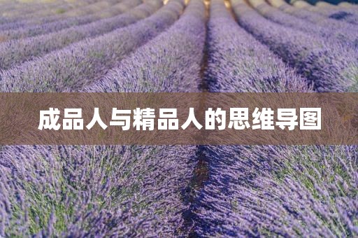 成品人与精品人的思维导图