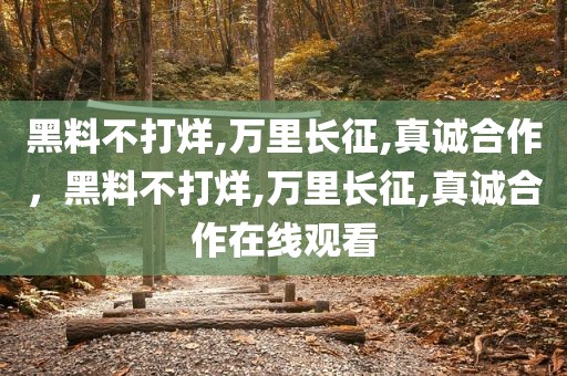 黑料不打烊,万里长征,真诚合作，黑料不打烊,万里长征,真诚合作在线观看
