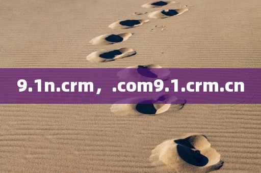 9.1n.crm，.com9.1.crm.cn