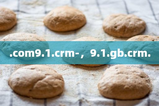 .com9.1.crm-，9.1.gb.crm.
