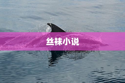 丝袜小说