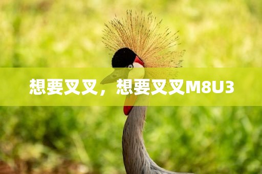 想要叉叉，想要叉叉M8U3