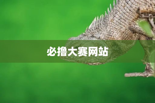 必撸大赛网站
