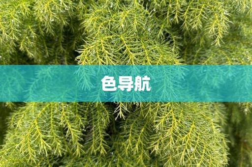 色导航