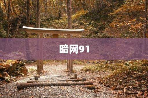 暗网91