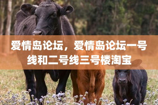 爱情岛论坛，爱情岛论坛一号线和二号线三号楼淘宝