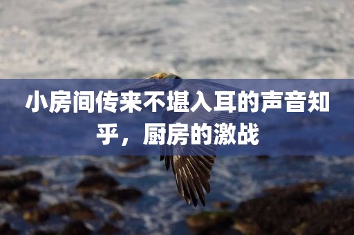 小房间传来不堪入耳的声音知乎，厨房的激战