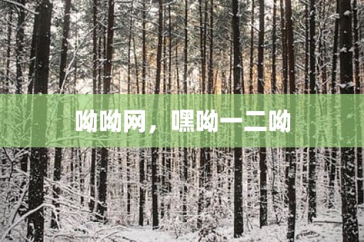 呦呦网，嘿呦一二呦