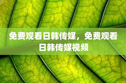 免费观看日韩传媒，免费观看日韩传媒视频