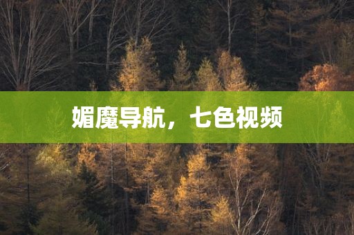 媚魔导航，七色视频