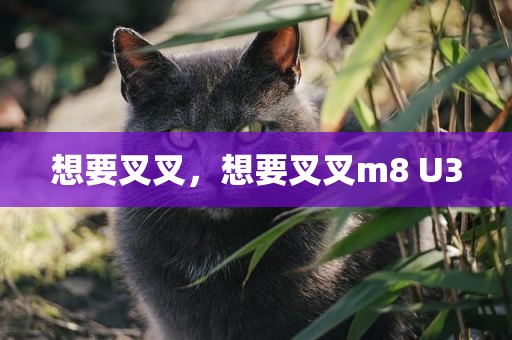 想要叉叉，想要叉叉m8 U3