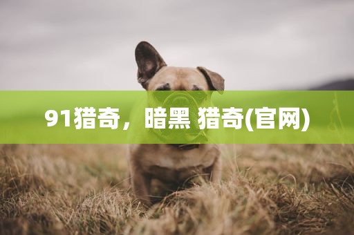 91猎奇，暗黑 猎奇(官网)
