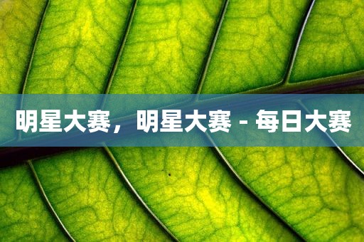 明星大赛，明星大赛 - 每日大赛