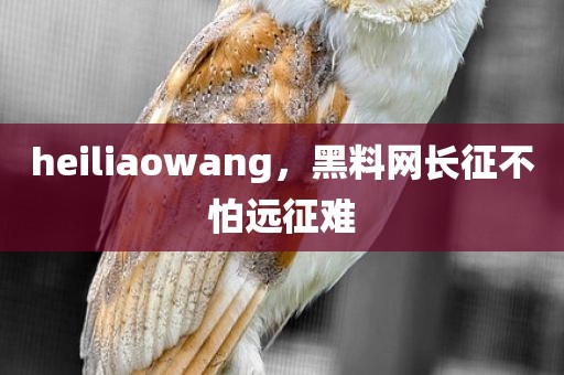 heiliaowang，黑料网长征不怕远征难