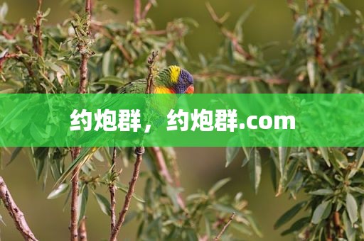 约炮群，约炮群.com