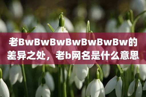 老BwBwBwBwBwBwBw的差异之处，老b网名是什么意思