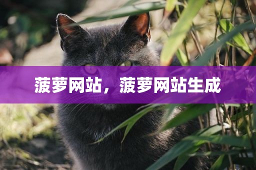菠萝网站，菠萝网站生成
