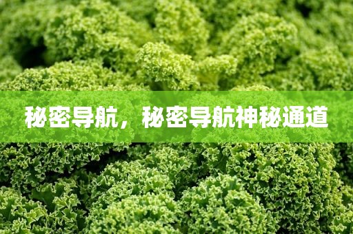 秘密导航，秘密导航神秘通道