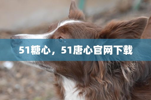 51糖心，51唐心官网下载