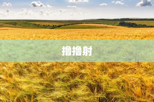 撸撸射