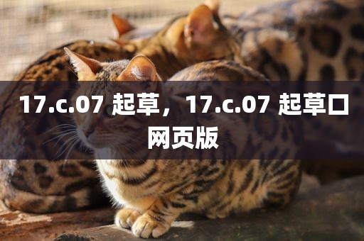 17.c.07 起草，17.c.07 起草口网页版