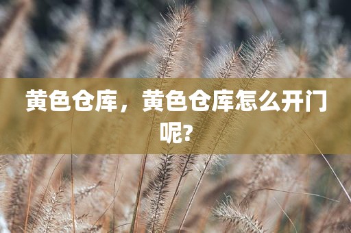 黄色仓库，黄色仓库怎么开门呢?