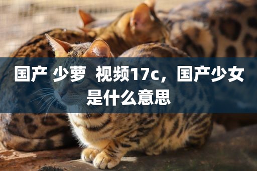 国产 少萝  视频17c，国产少女是什么意思