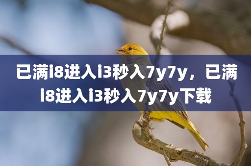 已满i8进入i3秒入7y7y，已满i8进入i3秒入7y7y下载