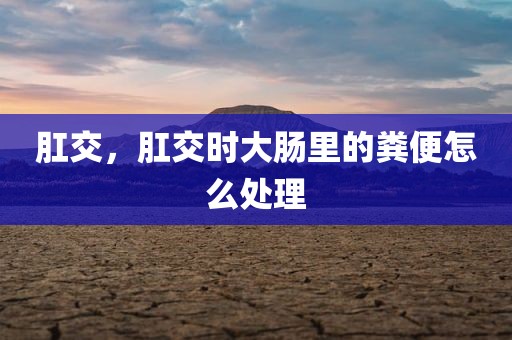 肛交，肛交时大肠里的粪便怎么处理