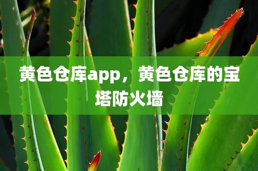 黄色仓库app，黄色仓库的宝塔防火墙