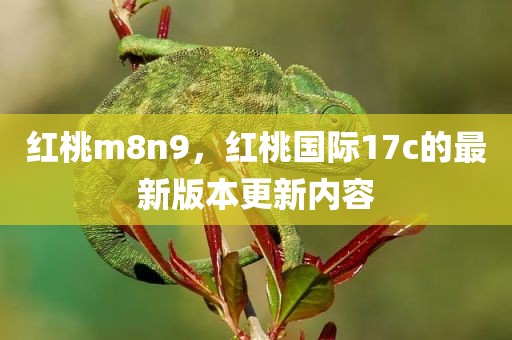 红桃m8n9，红桃国际17c的最新版本更新内容