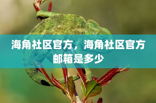 海角社区官方，海角社区官方邮箱是多少